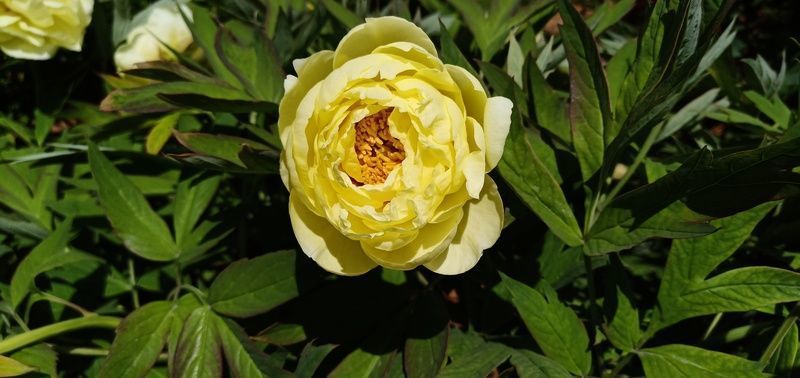 �ٶ�����Ϊʲô����