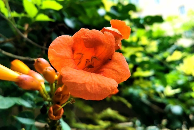 ţ�����������������ţ��