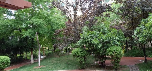 �ƶ�Ϊʲô����ɫ