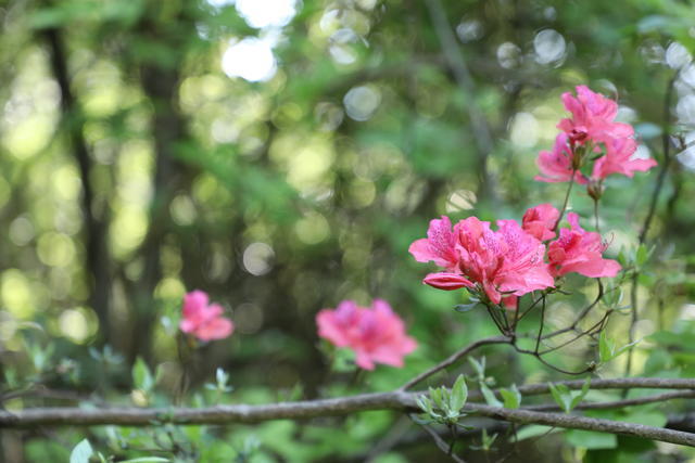 ����θ����Ҫע��Щʲô