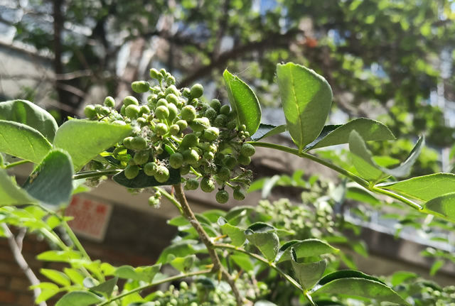 <a href=https://www.shuisutang.com.cn/ target=_blank class=infotextkey>ˮ����</a>