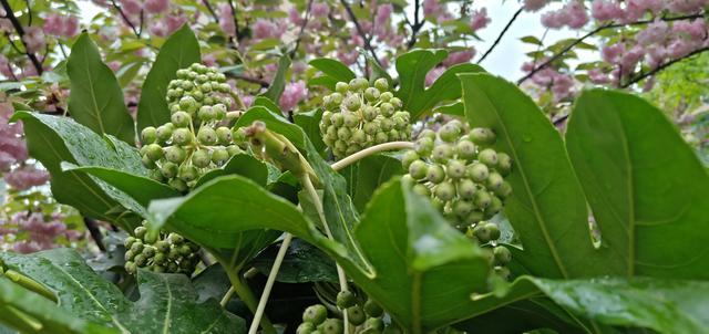 �������������ܻ�