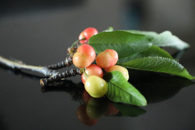 θ���ó�ʲô�̲�