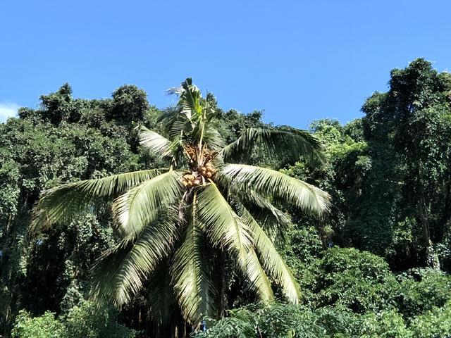 <a href=https://www.shuisutang.com.cn/ target=_blank class=infotextkey>ˮ����</a>