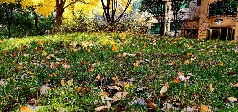 <a href=https://www.shuisutang.com.cn/ target=_blank class=infotextkey>水苏糖</a>