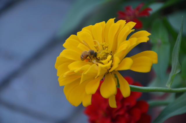 θһ�������µĸо�