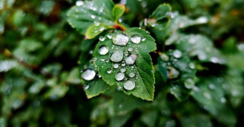 ���ܲ���Ϻ����һ�����