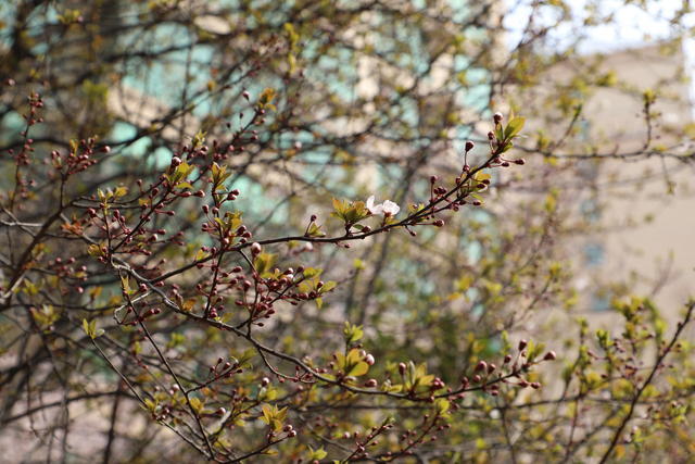 ���籭2022��ΧԤѡ��ֱ��