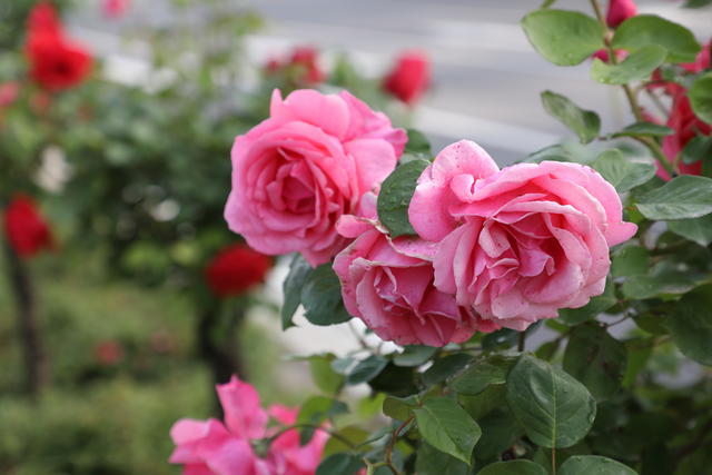 θ����������˯����