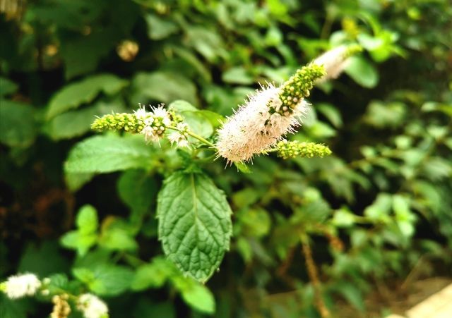 ��θ��Ⱦ��ʲôˮ����