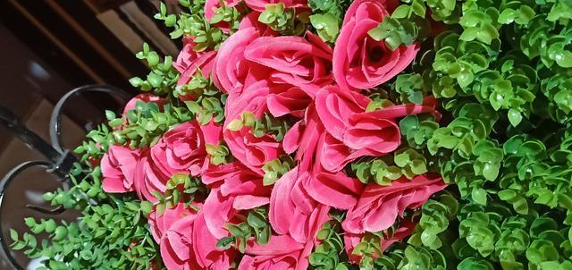 ţ����ô���źó����ۃ�ͯ��