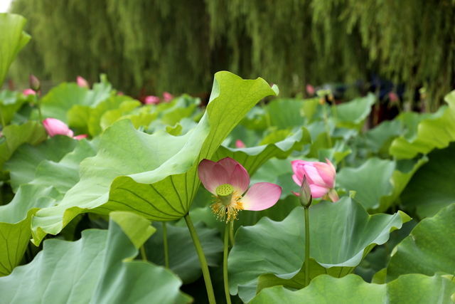 θ���ܼ���