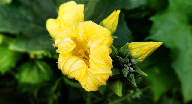 �����������ô���ƶ�Ƿ