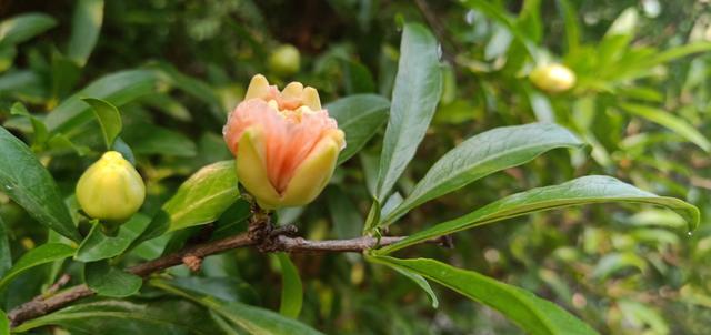 ţ����ô����Ӳ����