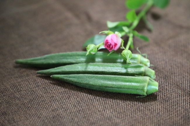 �������������ô��