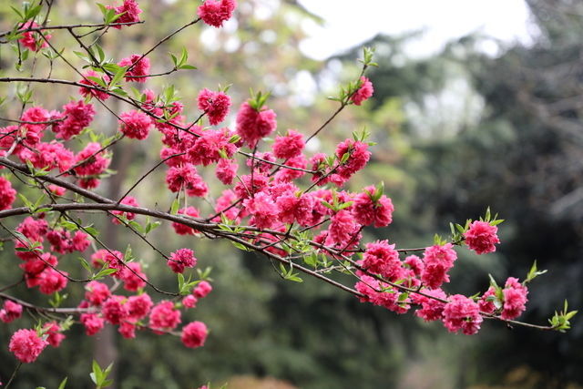 �cθָ������Щ