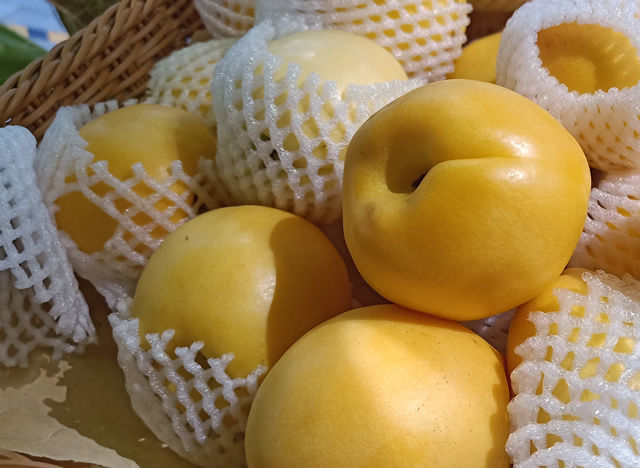 ������ͷ������ô���¶�