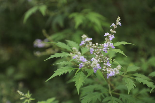 �c��ϲ�g��Щʳ���ˮ��