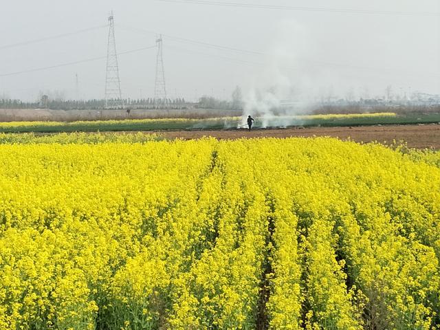 虾皮怎么发货到仓库