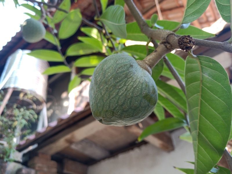 θ���������Ļ��ֶ���