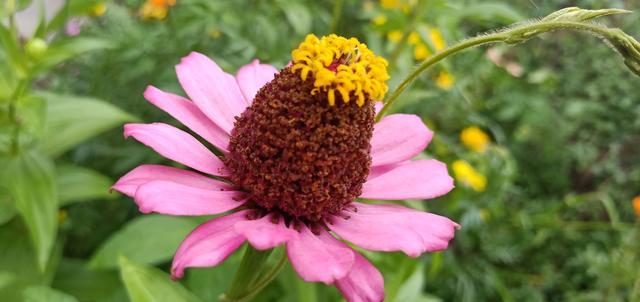 ������ô�����úó�