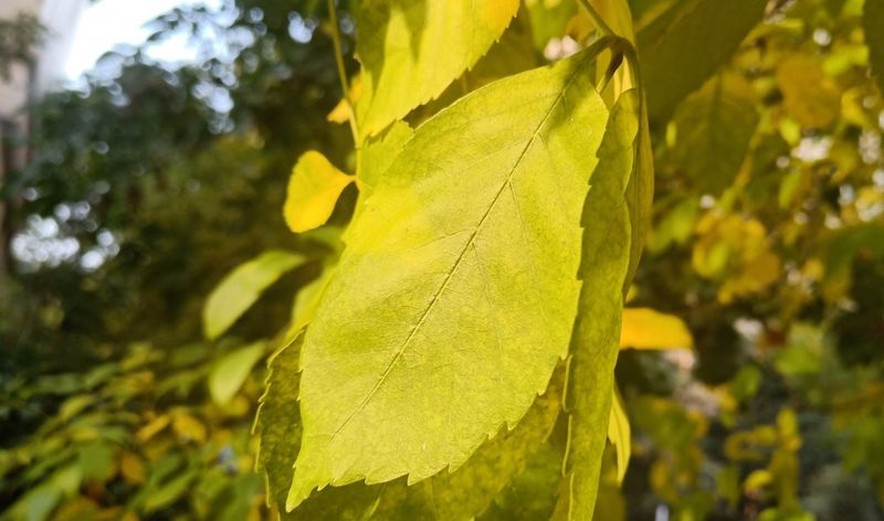 ��ƨ�ܳ�����ô����