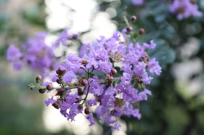 Ů�˳�θ������ô����