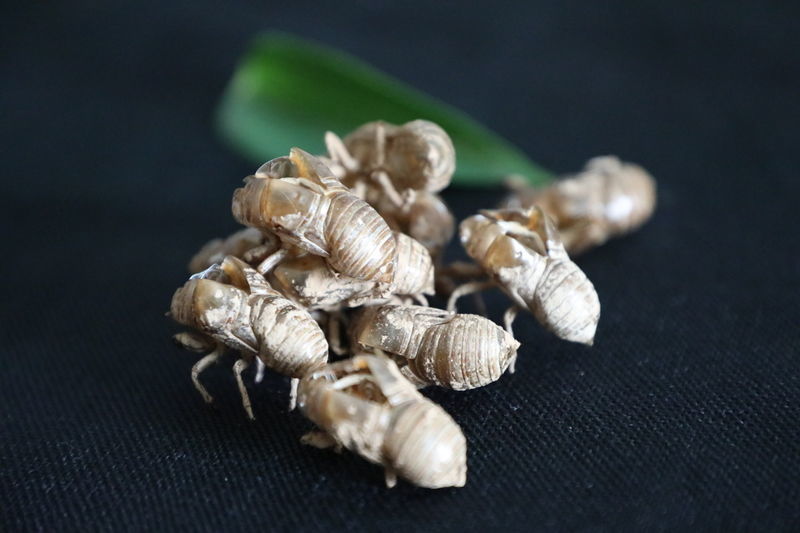 θ���������һ���