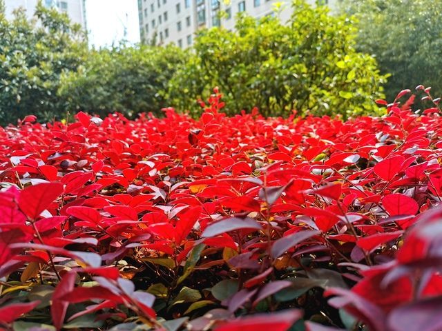 ���Գ�θ�׵�������Գ�ʲô