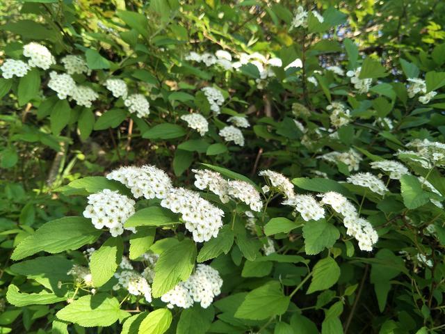 �����ʲô����һ������Ӻó�