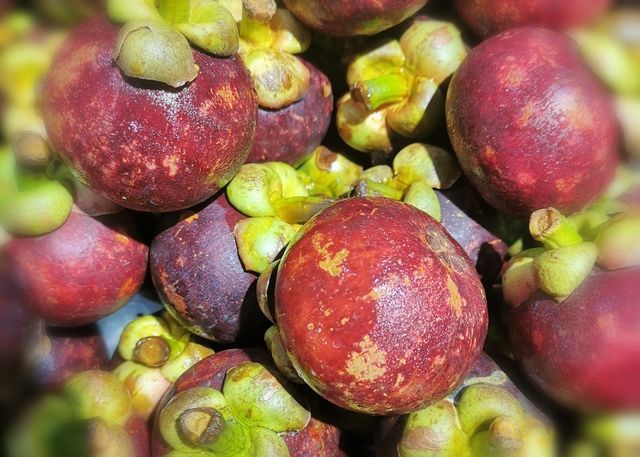 食物在食管中停留多久