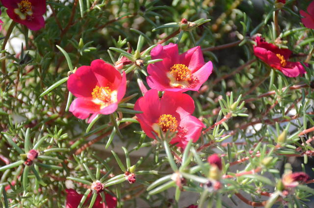 θ���õ����˳�ɶ��Ʒ