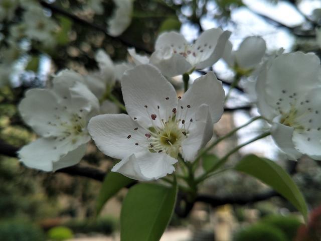 <a href=https://www.shuisutang.com.cn/ target=_blank class=infotextkey>水苏糖</a>