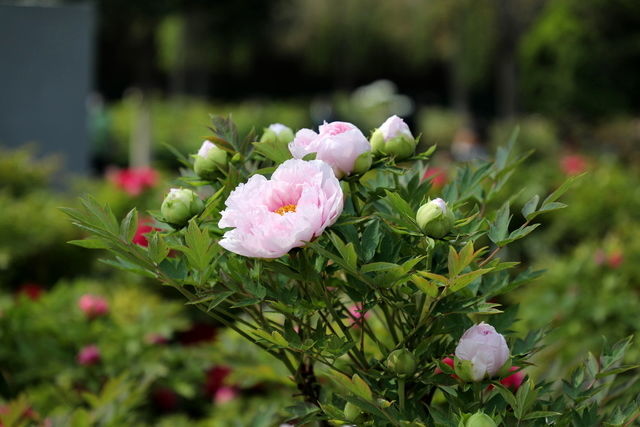 ��轻����ݲ���ʲô��