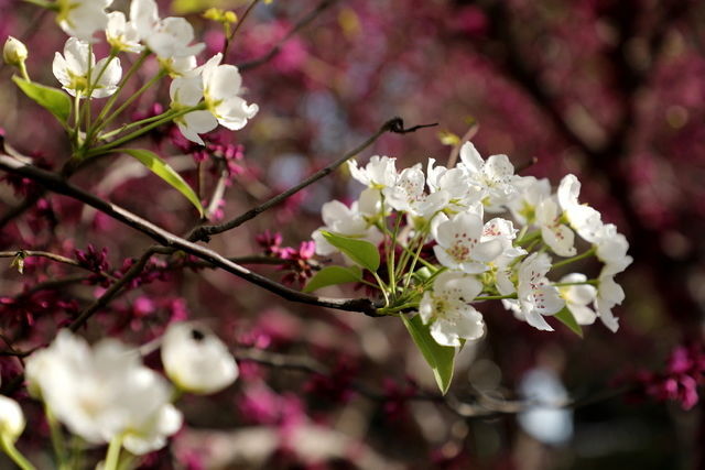 <a href=https://www.shuisutang.com.cn/ target=_blank class=infotextkey>ˮ����</a>