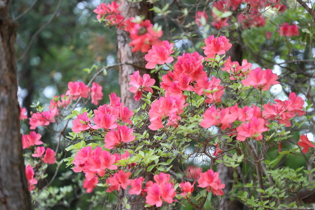 ������ô���治�lѿ���G