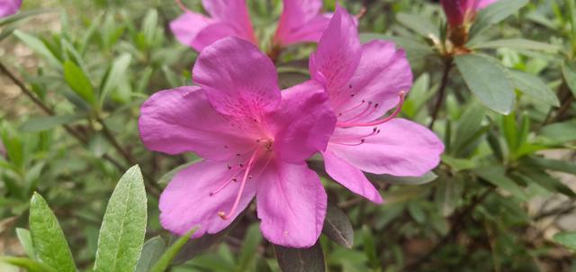 ţ���ʲô��˲���һ��Բ���