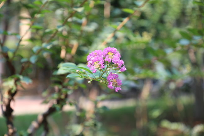 <a href=https://www.shuisutang.com.cn/ target=_blank class=infotextkey>ˮ����</a>