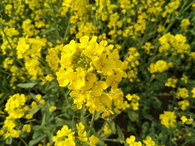 世界杯2022外围预选赛直播