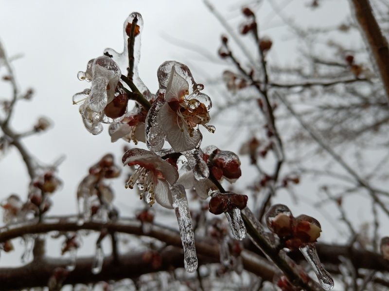 ��ʲô��θ�ͳ����кô�