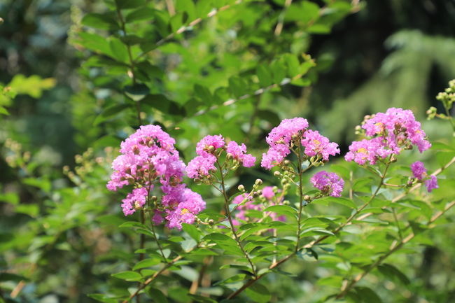 ��õĴ�Ϻ��ô���ó�