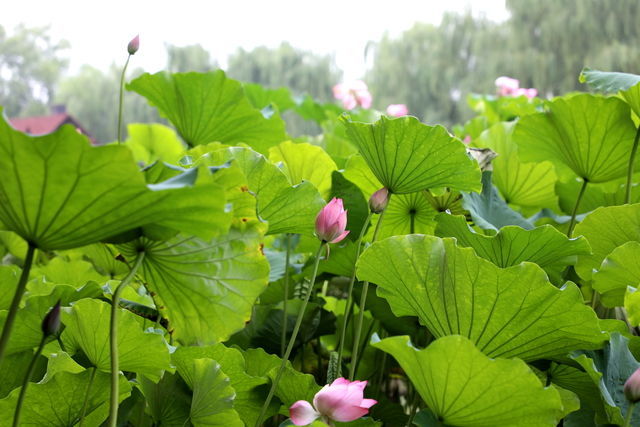 ���Ӻ�ʲôһ����ó�