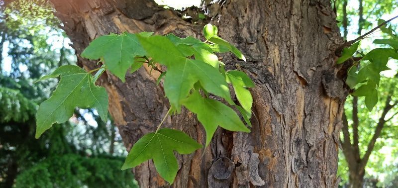 <a href=https://www.shuisutang.com.cn/ target=_blank class=infotextkey>ˮ����</a>