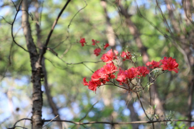 �~���B�S�����q��ô�B