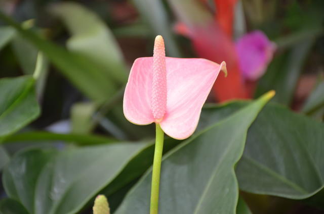 ������ص��o��