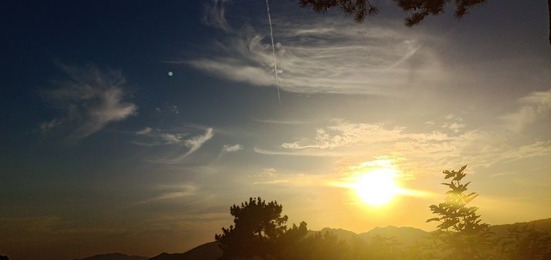 三文魚排怎么煎好吃