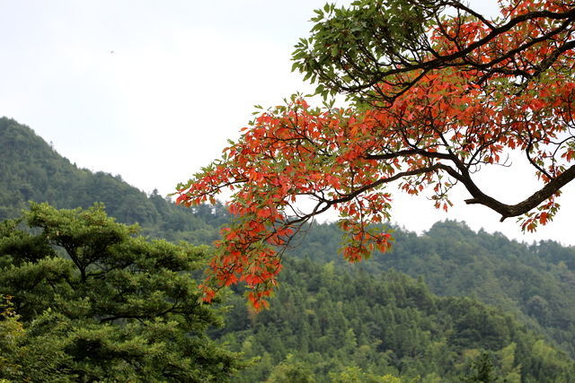 <a href=https://www.shuisutang.com.cn/ target=_blank class=infotextkey>ˮ����</a>