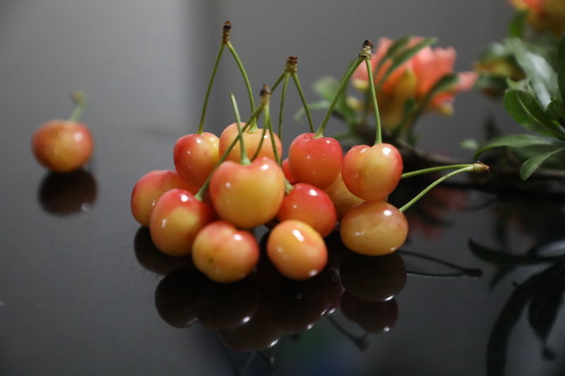 健康大便的顏色和形狀