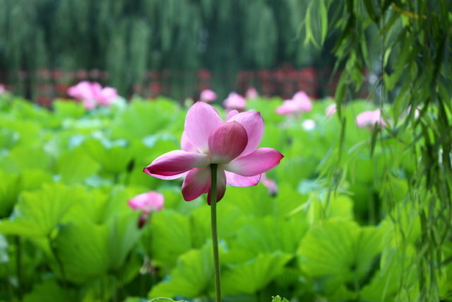 ������з��һ�����