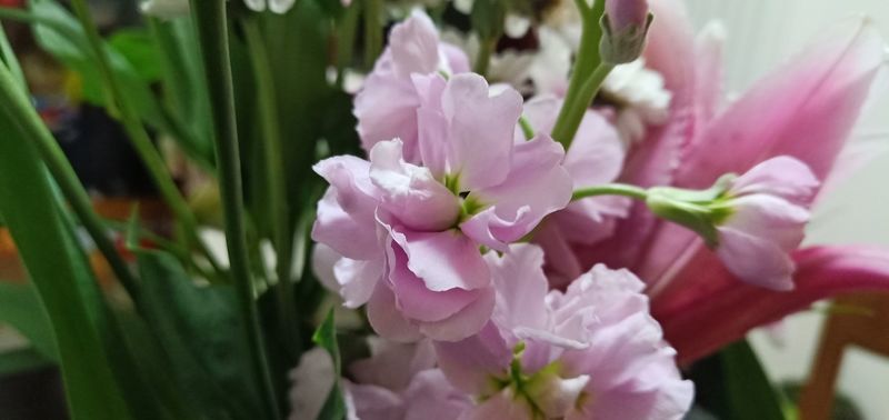 θ�c�����Ɂy����ćI��